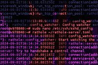 Rathole: подключение Raspberry Pi к Windows через удаленный сервер