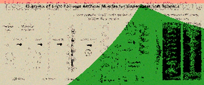 Корейские ученые создали искусственные мышцы для подводных роботов, работающие от света