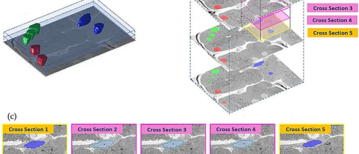 ИИ-алгоритм KRISS сокращает время 3D-реконструкции до 1/8 с точностью в пределах 3%