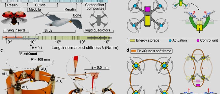 Дрон выдерживает столкновения на 5 м/с без повреждений: пиковое ускорение всего 25.2 g