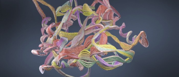 Нейросеть Evo создала невиданные ранее белки на основе бактериальных геномов